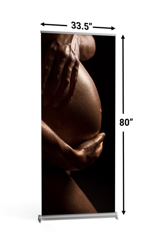 Baby Shower, Gender Reveal. Pregnancy Photo. Retractable Banner, Custom RollUp Banner, Sign Display, Retractable High Quality. FREE SHIPPING